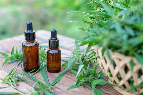 7 Beneficios Y Usos Del Aceite De Cbd Más Efectos Secundarios