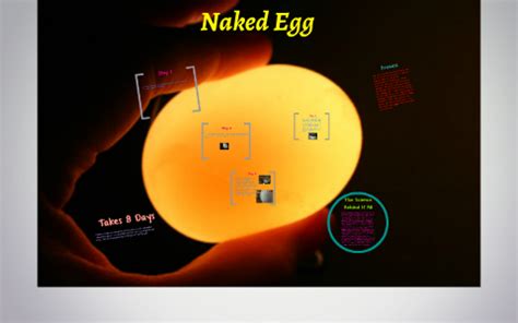 Naked Egg By Adeline Wheeler