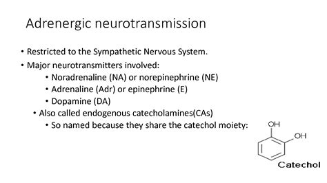 Solution Adrenergic Drugs Studypool