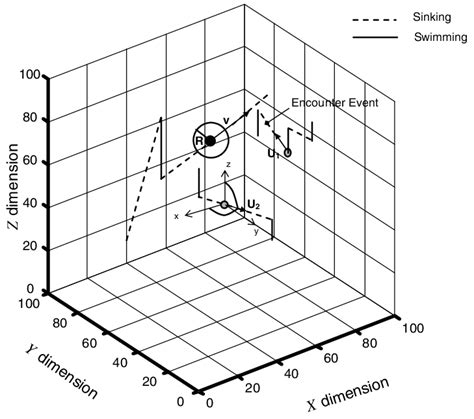 Conceptual Scheme Of The Three Dimensional Resolution Of Discrete