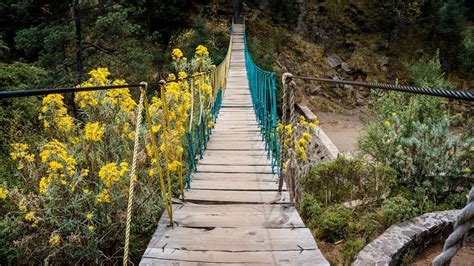 Cumbres del Ajusco National Park