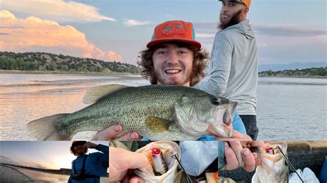 Top Water Frog Bass Fishing At Brush Hollow Colorado YouTube