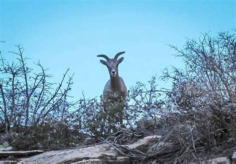 Observation Point Hike in Zion | Hike Bike Travel