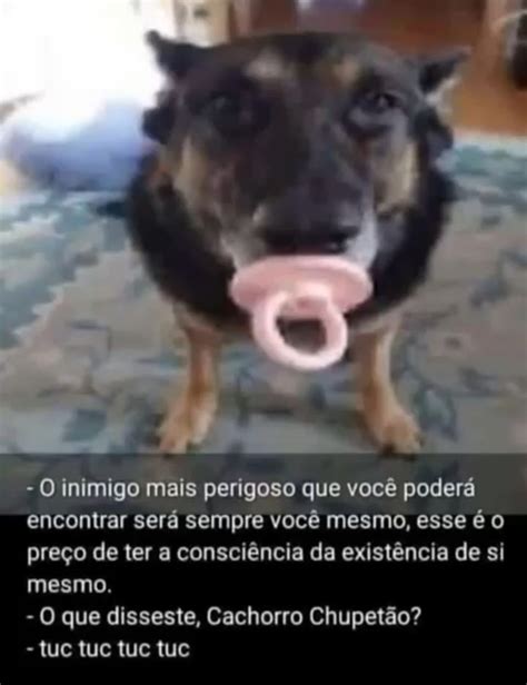 Que Isso Cachorro Chupetão Rcellbits