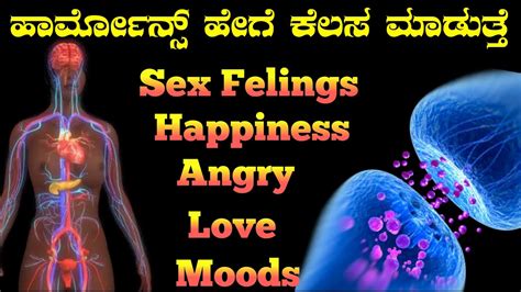 How To Hormones Work In Body Bramhacharyasexanger Feelings How To Control Youtube