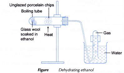 Heat of Combustion of Ethanol - SammykruwGreen