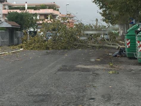Maltempo Nuova Allerta Arancione A Latina Il Comune Valuta La Chiusura Delle Scuole LatinaPress