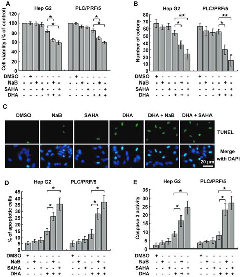 Hdaci Facilitated Dha Induced Apoptosis A Combination Treatment With