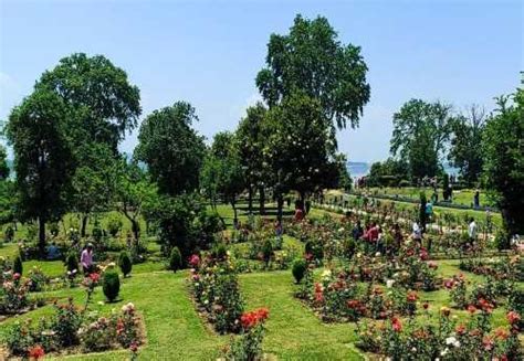 Nishat Bagh | Mughal Garden in Srinagar | Best Time