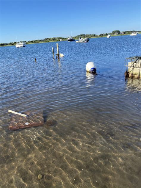 Oyster Reefs And Salt Marsh Resilience Nantucket Conservation Foundation