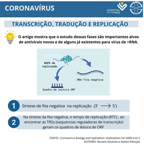 Biologia E Replica O Do Coronav Rus Implica Es Para Sars Cov