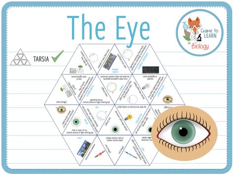 The Eye Tarsia KS3 4 Teaching Resources