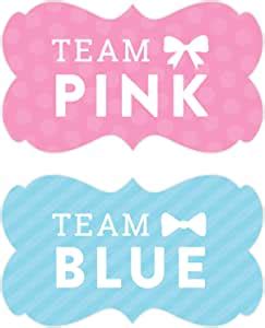 Amazon Andaz Press Team Pink Team Blue Gender Reveal Baby Shower