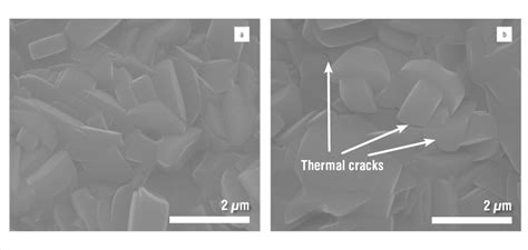 Scanning Electron Micrographs Of The Zeolite Membrane A Before And