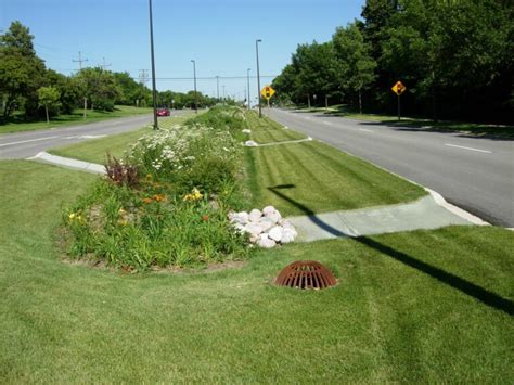 Bioswales Reduce Flooding And Protect Waterways Ldp Watersheds