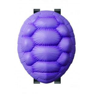 Tortue Geniale Carapace Violette Dragon Ball