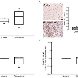 Expression Of Aquaporin Aqp And Bradykinin Receptor Bdkr B