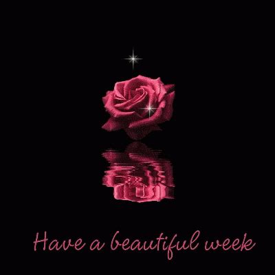 Have A Great Week Gifs Gifdb