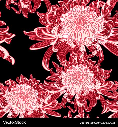 Background With Red Japanese Chrysanthemums Vector Image