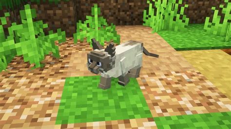 Better Cats Minecraft Texture Pack