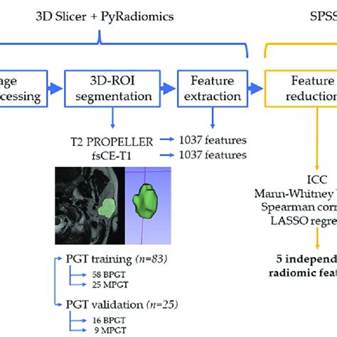 Radiomics Workflow Diagram ROI Region Of Interest PROPELLER