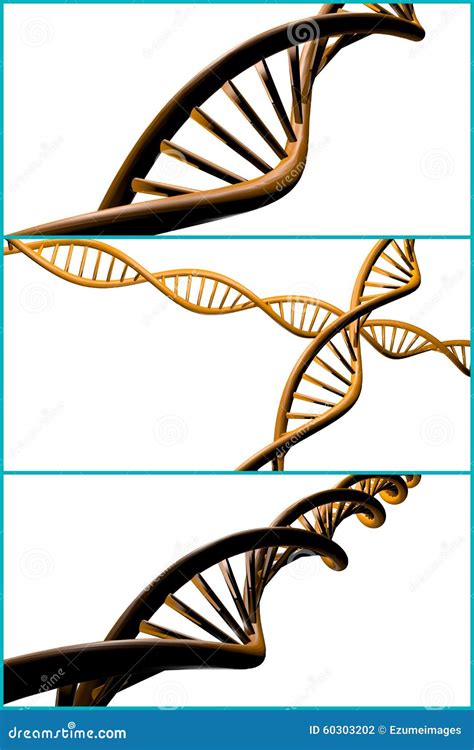 Collage Del Filamento De La DNA Stock de ilustración Ilustración de