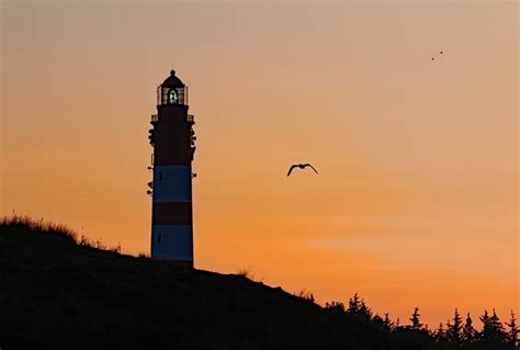 Amrum Mar Del Norte Isla Foto Gratis En Pixabay Pixabay