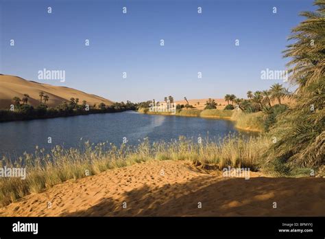 Mandara Lakes in the dunes of Ubari, oasis Um el Ma, libyan desert ...