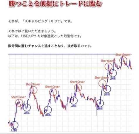 【未使用に近い】 スキャルピングfxプロ Ver 4 0 マニュアルpdf・インジケーター・特典・テンプレート付き 豪華特典付き の落札情報詳細 ヤフオク落札価格検索 オークフリー