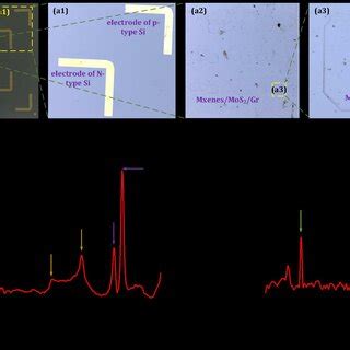 (a) shows the optical microscope image and its local magnified image of ...