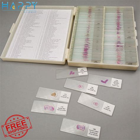 100pcs University Standard Human Histology Prepared Microscope Slides