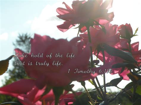 1 Timothy 6 19b Sapphire Dream Photography Flickr