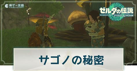 【ティアキン】サゴノの秘密の攻略と報酬【ゼルダの伝説ティアーズオブザキングダム】 神ゲー攻略