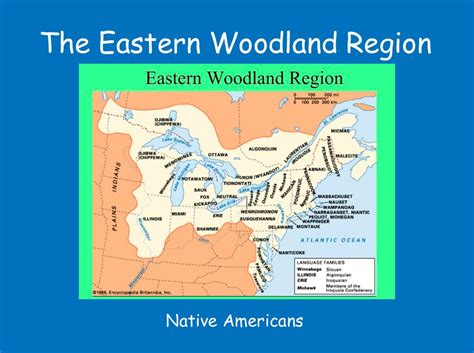 The Eastern Woodland Region created by: Yosh