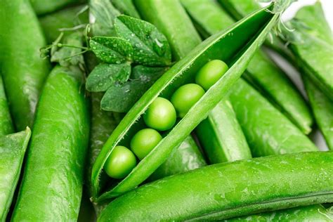 A Female Hand Holding Fresh Green Peas Creative Commons Bilder