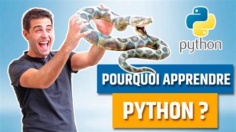 Pourquoi Apprendre Python 3 Bonnes Raisons De S Y Mettre D Urgence