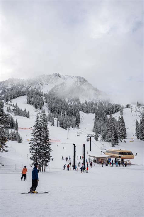 Stevens Pass Update 1 28 24 Pure Pnw Blog