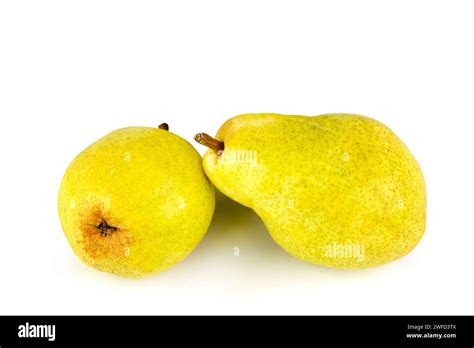 Ripe Juicy Pear Fruits Isolated On White Background There Is Free