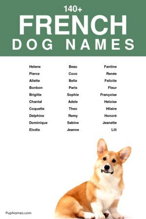 80+ French Dog Names For Girls (+ Meanings) | PupNames.com™