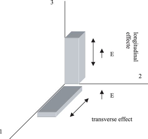 Longitudinal Direction