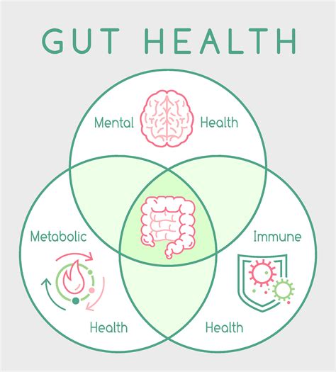 Gut Brain Connection The Role Of Your Diet In Boosting Mental Health