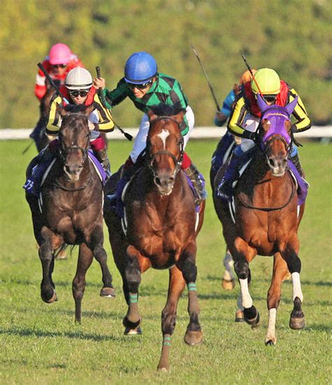 【g1復刻】2勝馬ジャスタウェイが秋盾もぎ取った！女王も昨年王者も置き去り完封／天皇賞・秋 競馬 日刊スポーツ