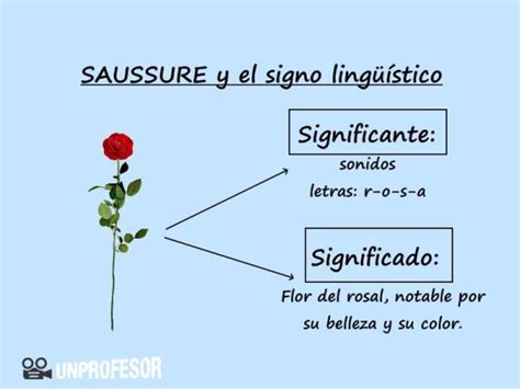 Palabra Significado Y Significante Con Ejercicios Resueltos