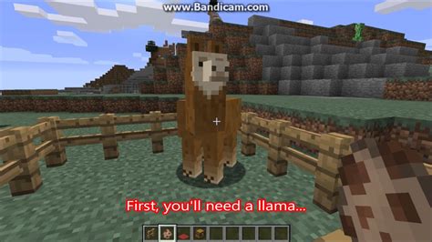 How To Tame Decorate And Add A Chest To A Llama Minecraft