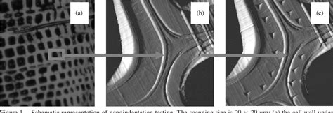 Figure From Moisture Dependence Of Indentation Deformation And