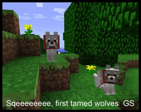 Minecraft wolves tamed by griffsnuff on DeviantArt