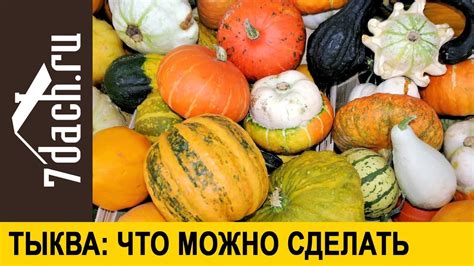 Тыква: какие бывают и что из них можно сделать. Свеча из тыквы - 7 дач ...