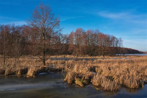 Winter On The Narew River Krzysztof Koz Owski Flickr