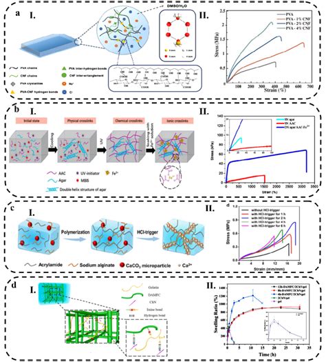 A I Schematic Illustration Of PVA CNF Organohydrogel A II Tensile