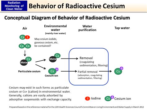 Behavior Of Radioactive Cesium Moe